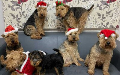 The Generalists and the Twelfth of Never